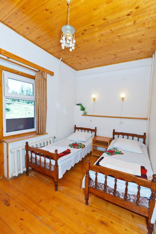 Hotel Apollon Bakuriani Room photo